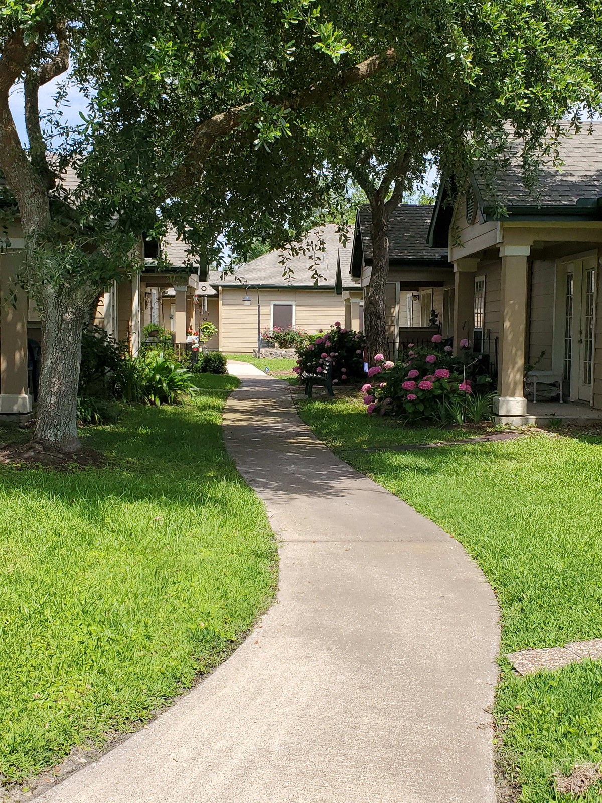 A serene residential pathway flanked by grass and trees, leading through a complex of buildings.