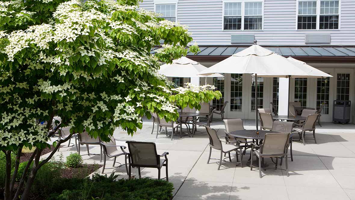 A peaceful outdoor patio area with chairs, tables, and umbrellas surrounded by greenery.