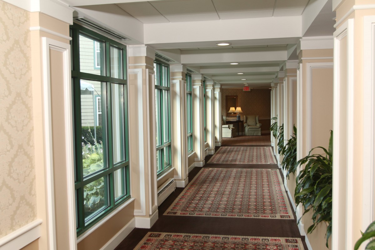 A well-lit hallway with large windows and decorative plants.