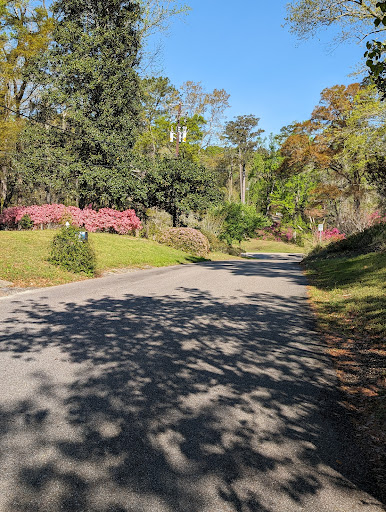 A serene view of a road lined with blooming flowers and lush greenery.