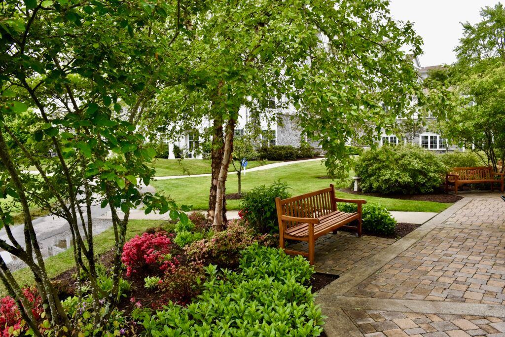 A peaceful garden scene with a wooden bench surrounded by lush greenery and flowering plants.