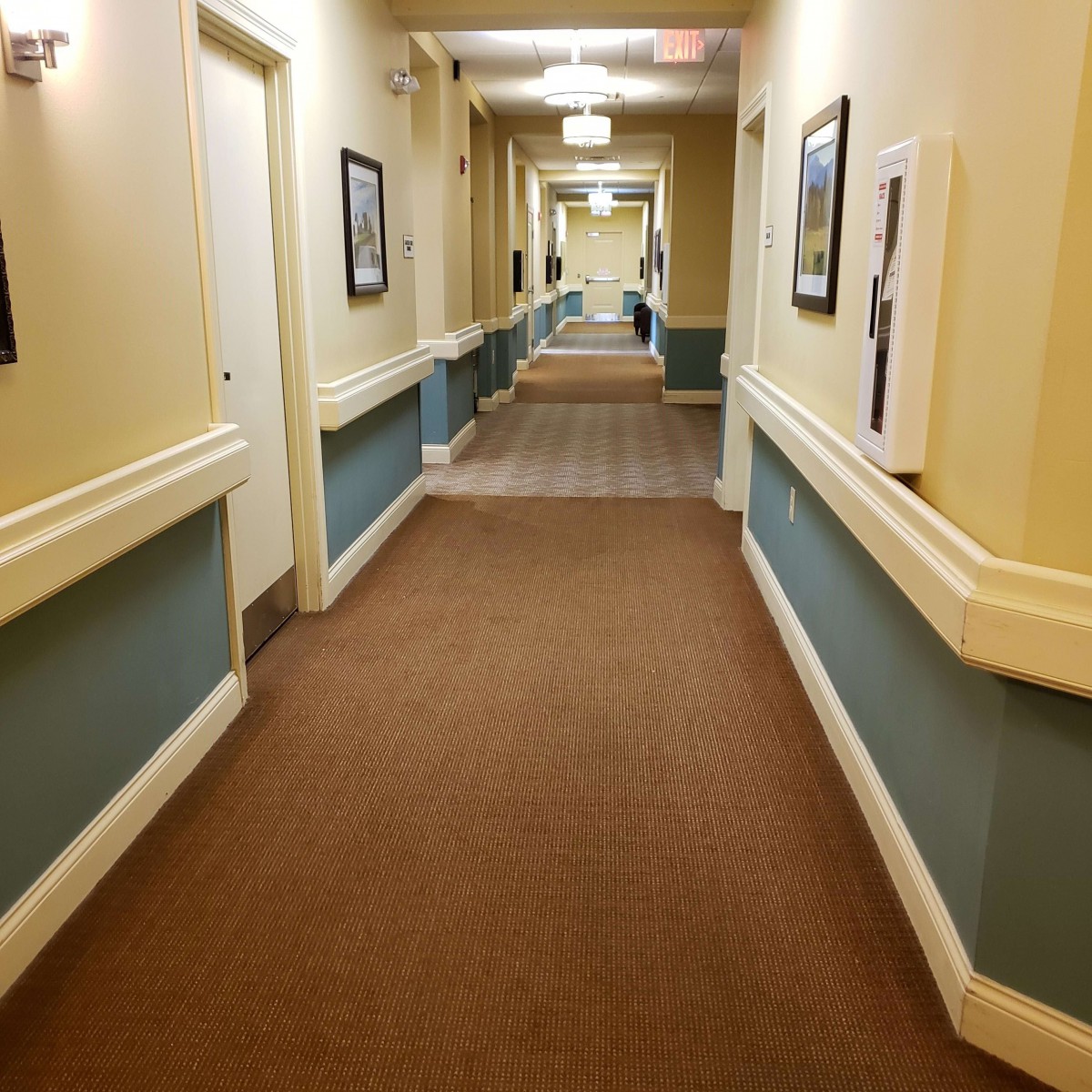 A long, carpeted hallway with decorated walls and doors.