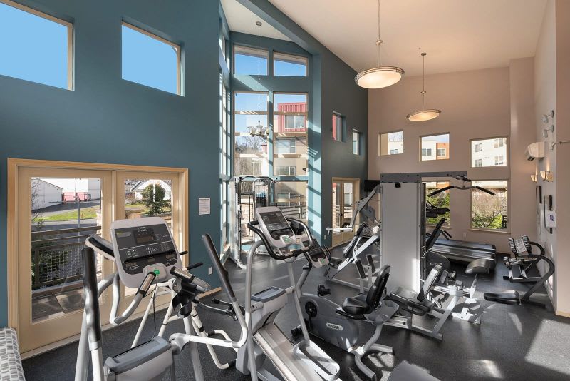 A modern gym with various cardio machines and bright natural lighting.