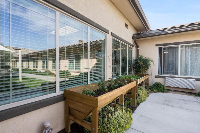 A view of a building exterior with planter boxes filled with greenery along the windows.