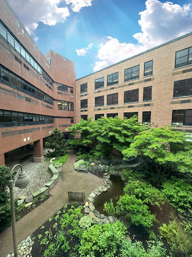 A serene courtyard garden surrounded by a brick building, featuring lush greenery and a small pond.
