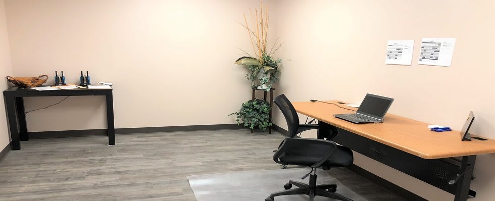 Minimalist office setup with a desk, chair, and decorative plant.