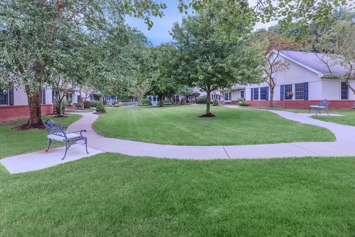 A serene residential courtyard with lush greenery and a winding walkway.