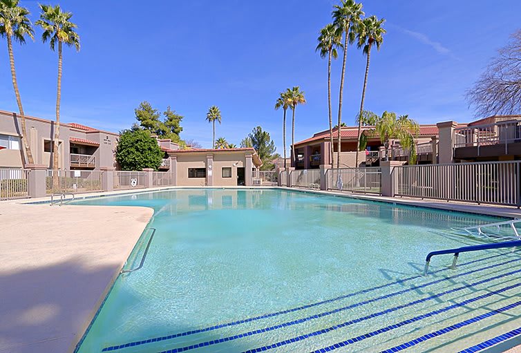 A serene swimming pool surrounded by palm trees in a residential apartment complex on a sunny day.