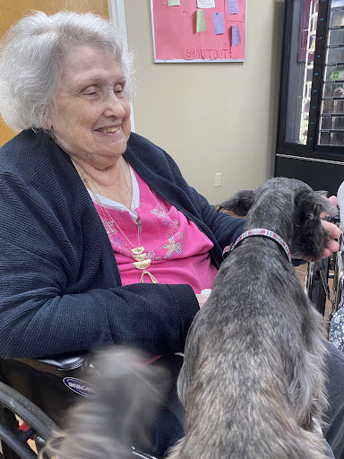 An elderly woman enjoys the company of a dog in a warm, welcoming environment.
