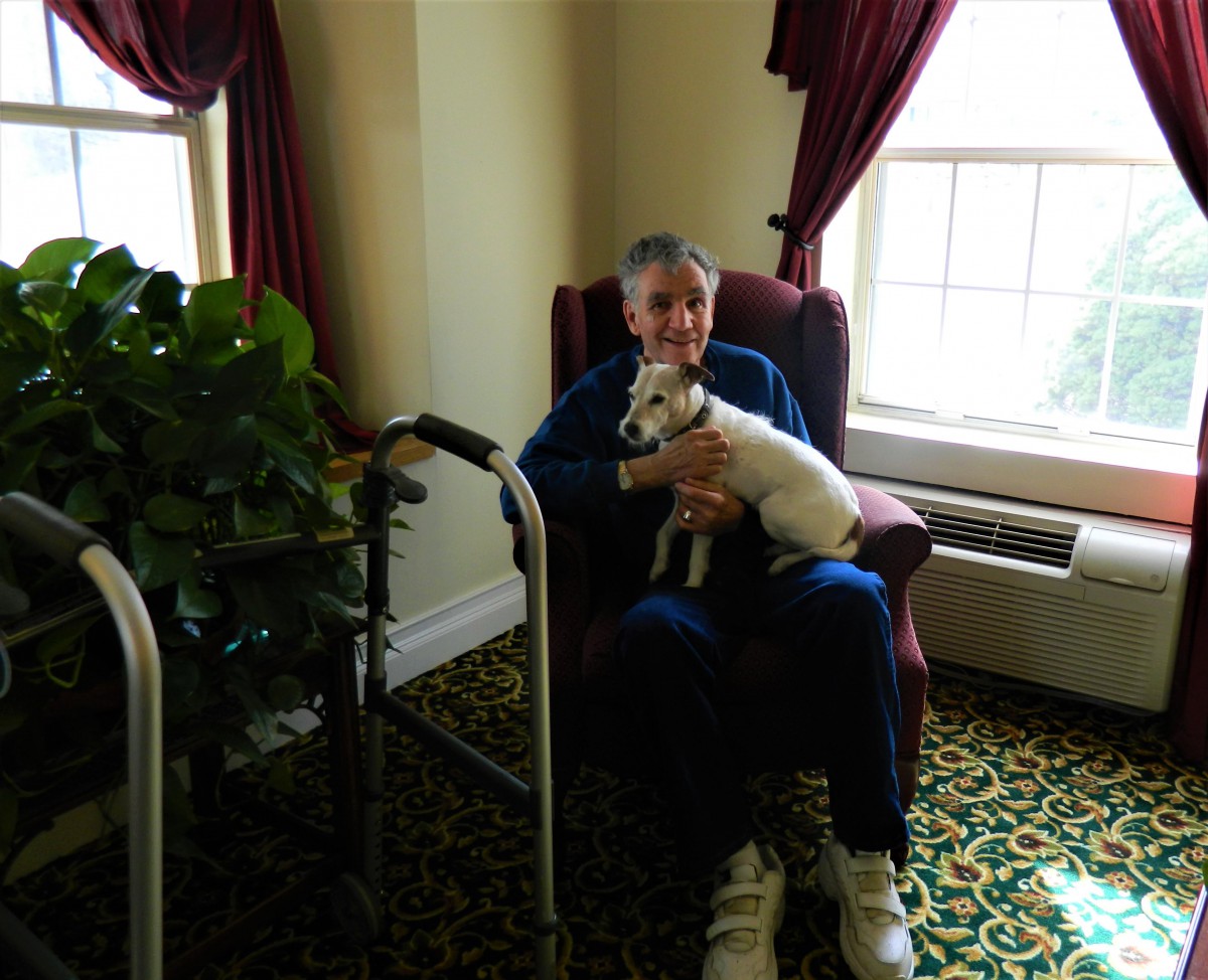 An elderly person sitting in a chair holding a small dog in a cozy room.