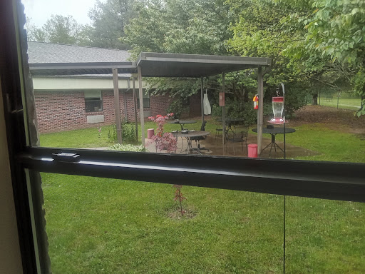 A serene view of a backyard with a shaded seating area.