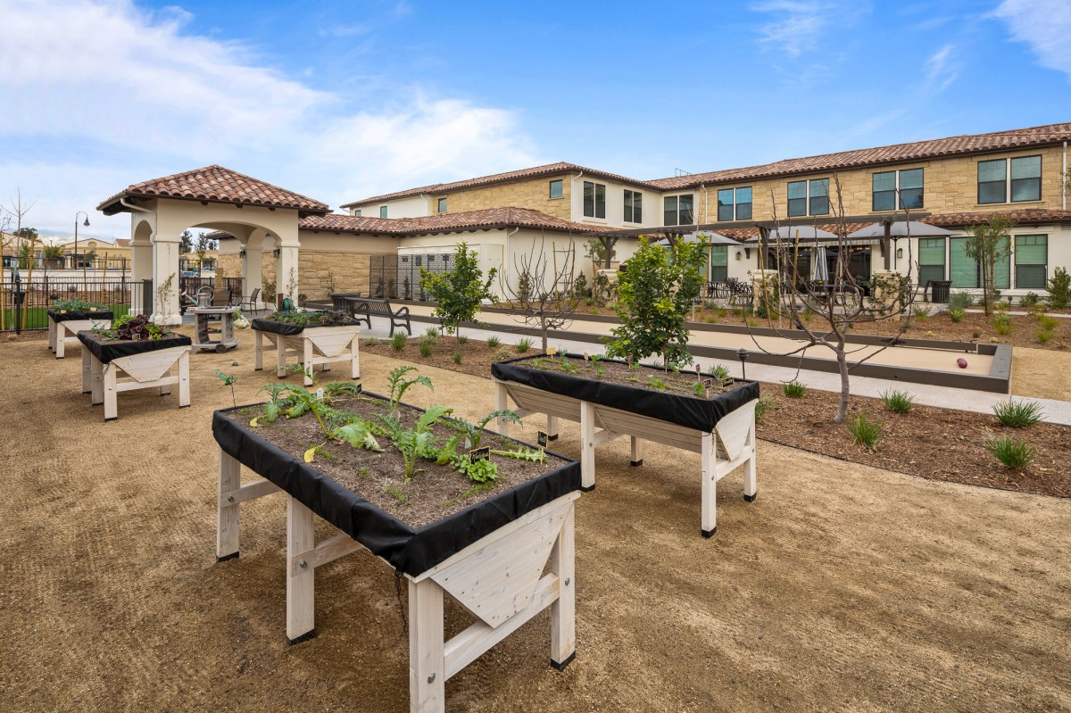 A community garden with raised planting beds and young plants growing in an outdoor setting.