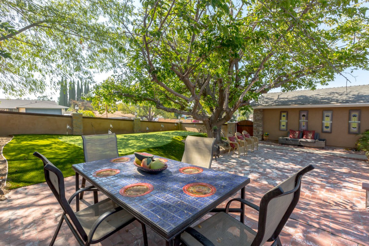 A sunny backyard patio with a table and chairs under a large tree.