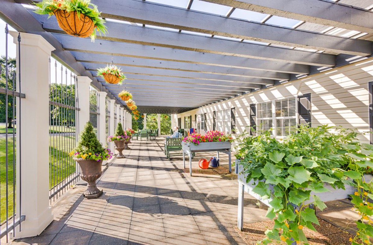 A sunlit greenhouse terrace with hanging baskets and potted plants.