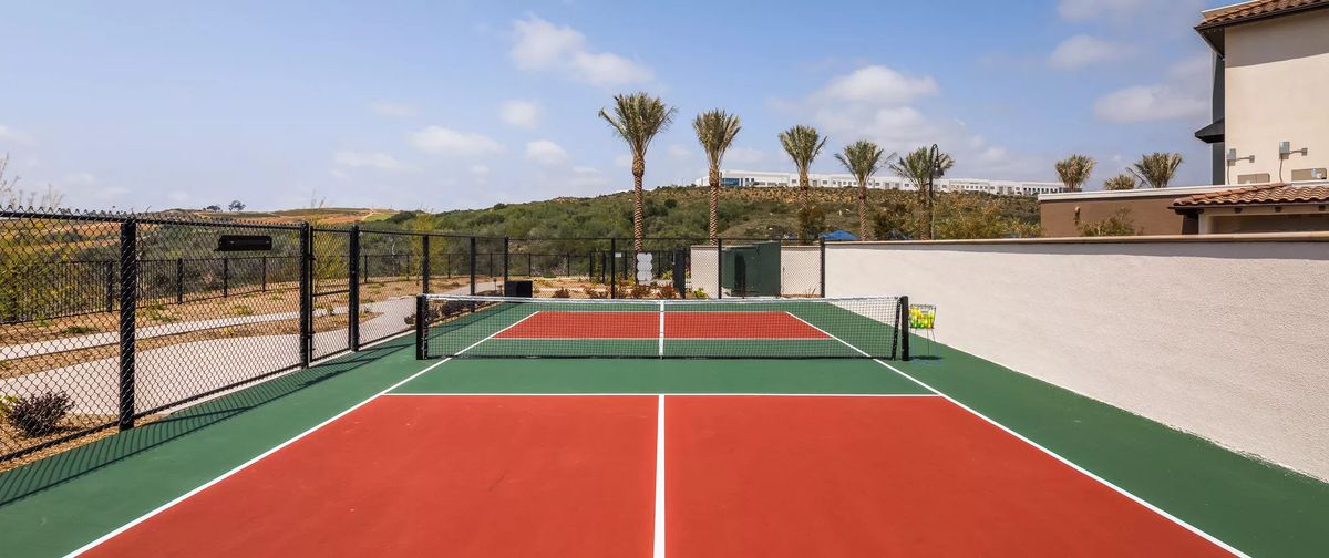 An outdoor tennis court surrounded by tall palm trees under a clear blue sky.