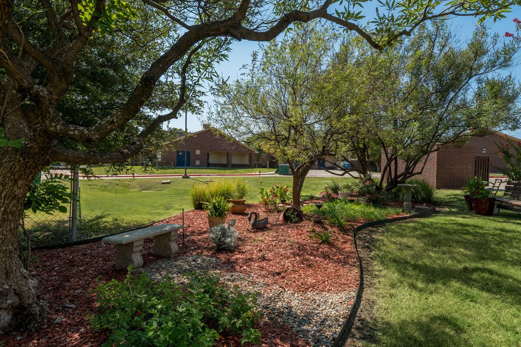 A serene garden with a bench surrounded by trees and plants on a sunny day.