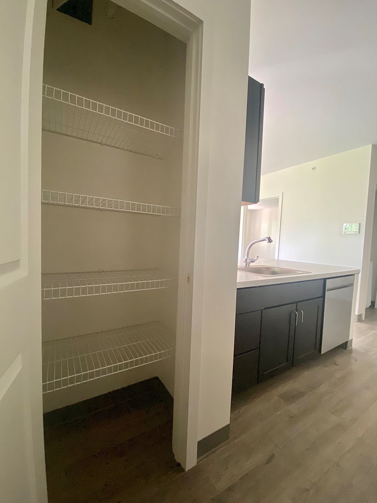 A modern kitchen with an open pantry showcasing multiple shelves.