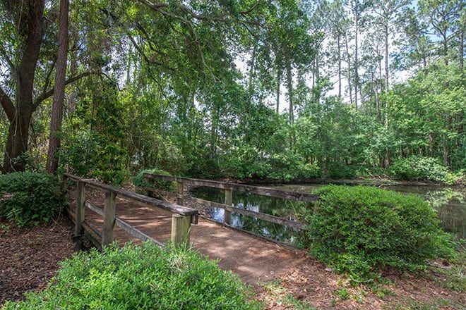 A serene pathway bridge nestled within a lush, green forest setting.