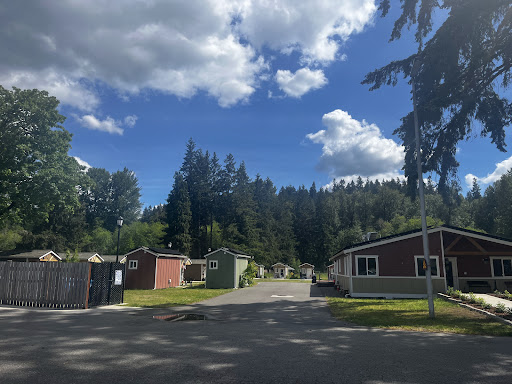 A peaceful view of a campground surrounded by trees under a bright blue sky.