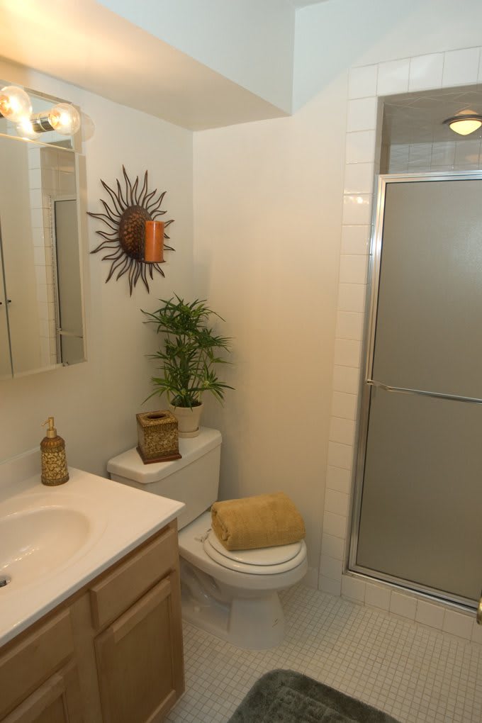 A cozy bathroom with a shower, toilet, and sink, featuring decorative elements and a small plant.