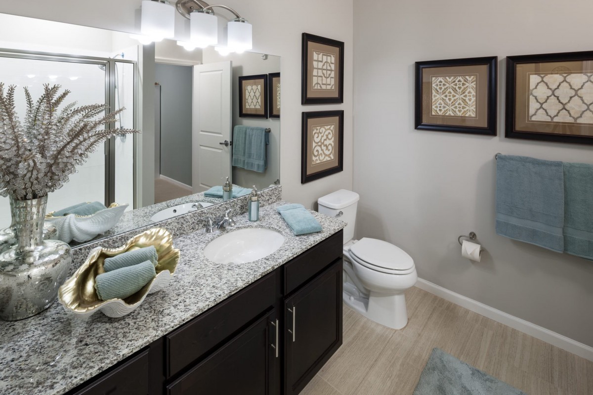 A modern bathroom featuring a granite countertop, dual sink, and decorative artwork.