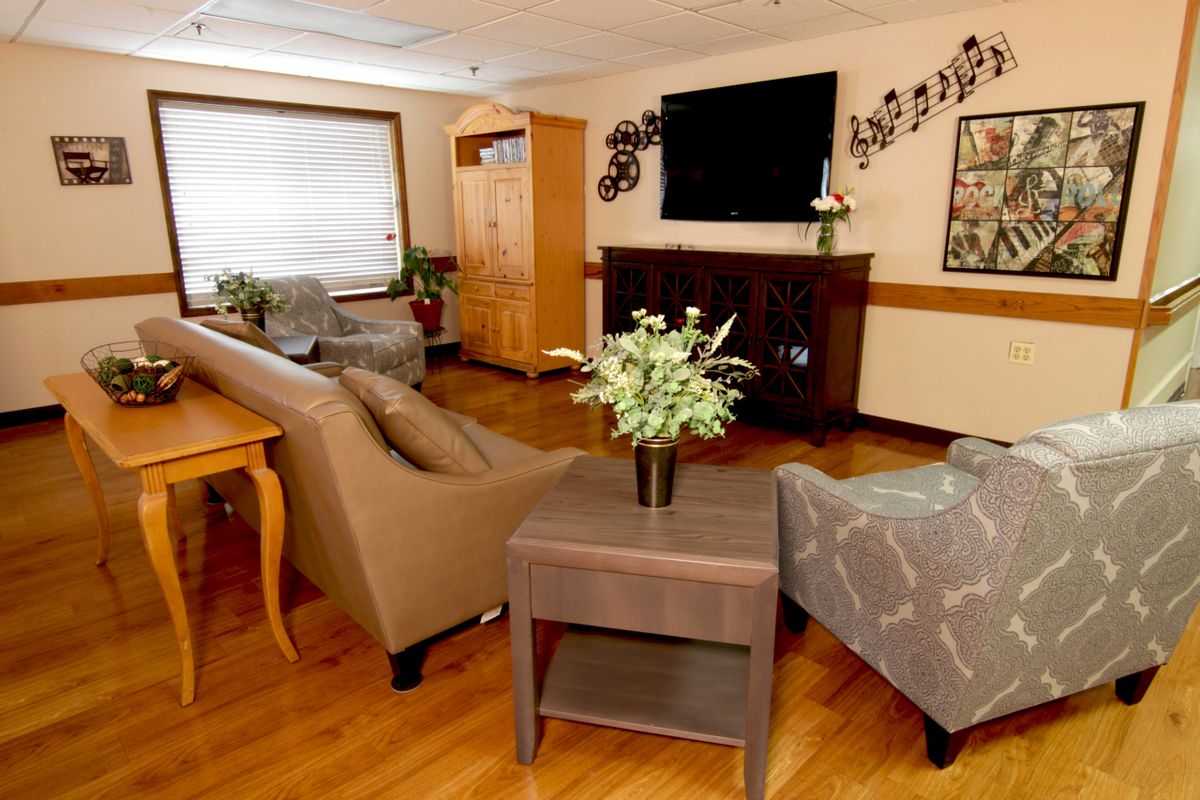 A cozy living room with comfortable seating, a large TV, and decorative plants.