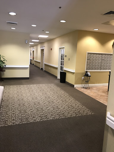 A well-lit hallway in a building, featuring a carpeted floor and decorative plants.