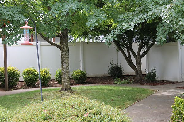 A landscaped garden with trees and a white fence.