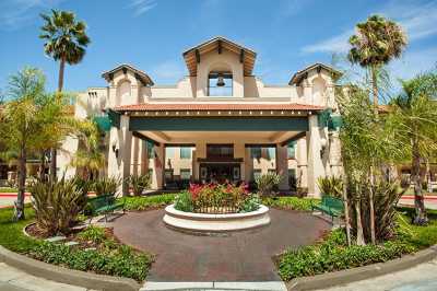 A grand hotel entrance surrounded by lush landscaping and palm trees.