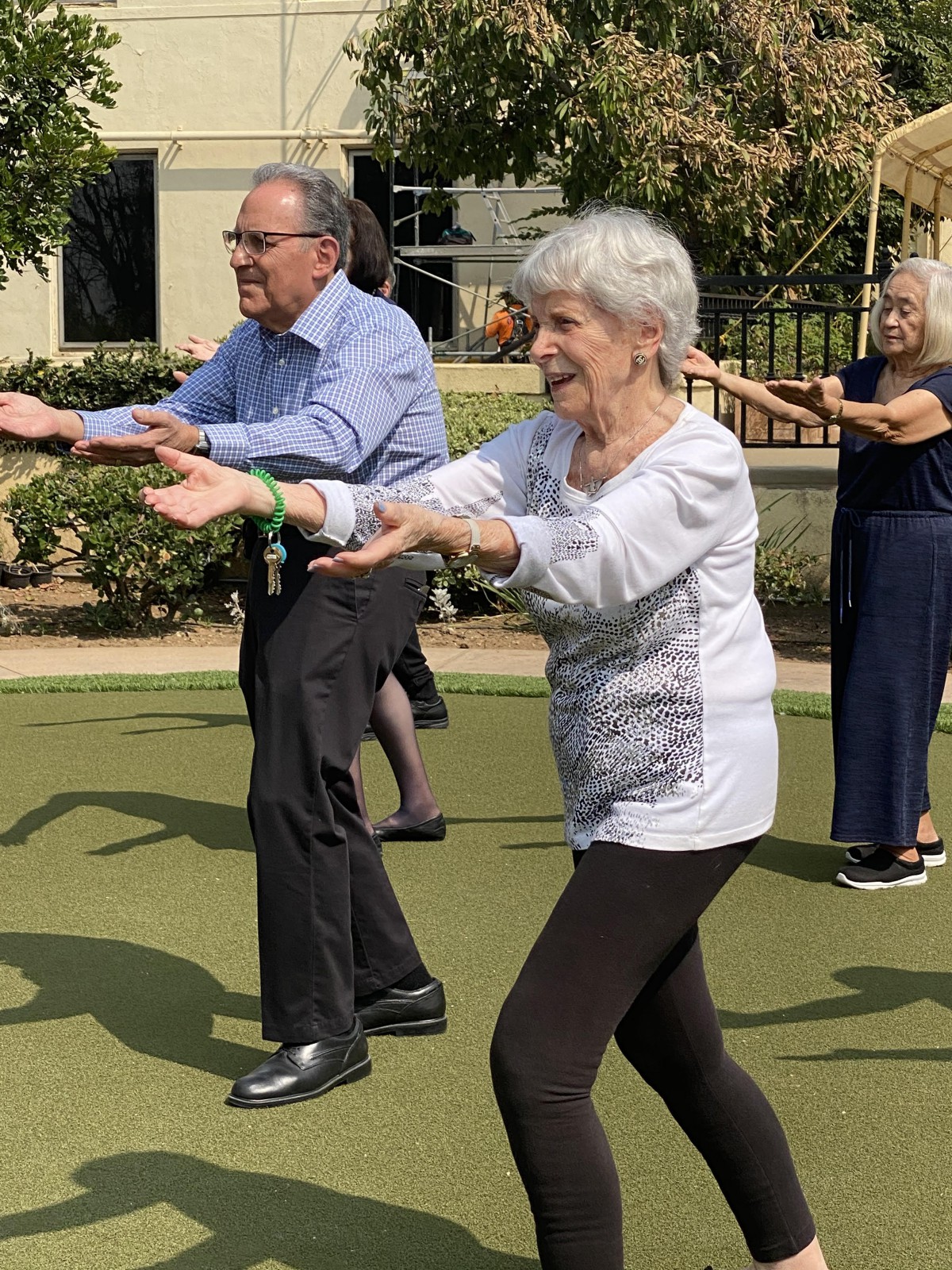 A group of seniors practicing Tai Chi outdoors.