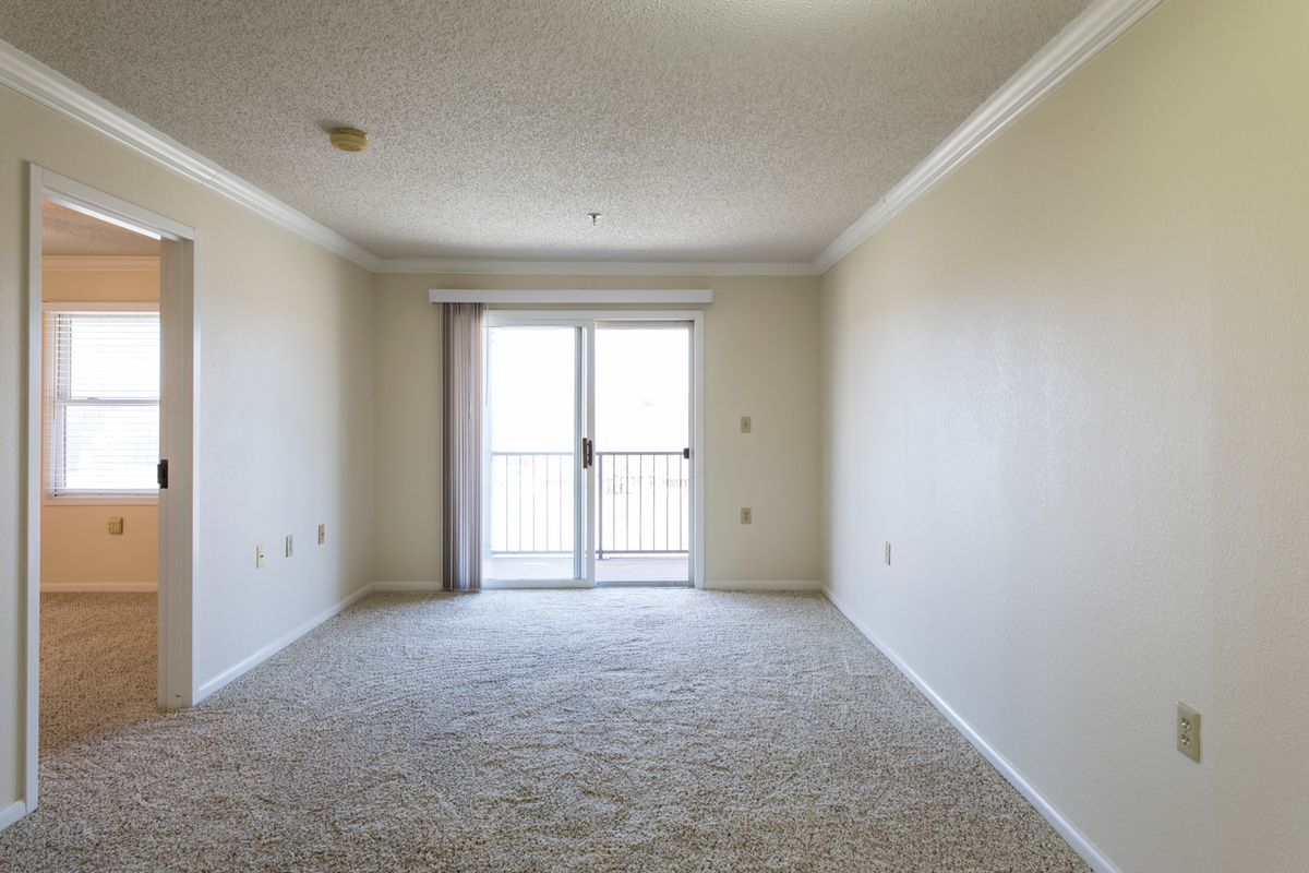 An empty room with carpeted flooring and a sliding glass door allowing natural light to enter.