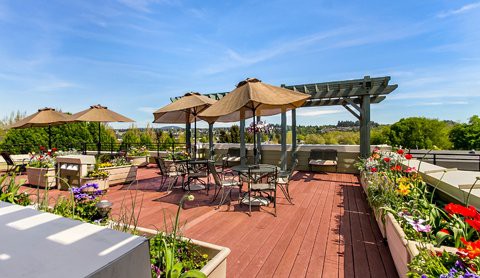 A sunny patio deck with tables, chairs, and umbrellas under a pergola, surrounded by greenery.
