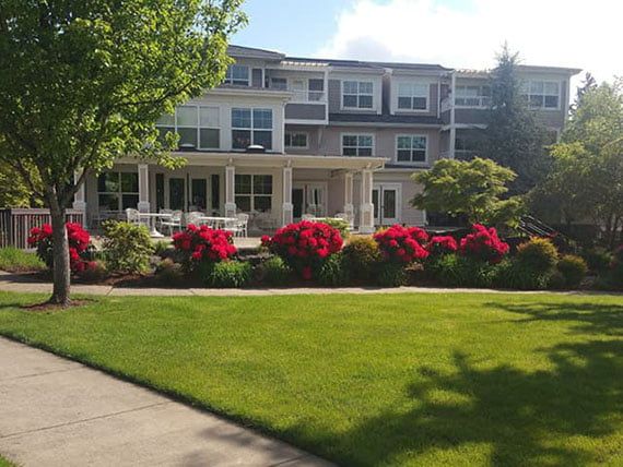A well-maintained garden with vibrant flowers in front of a residential building.