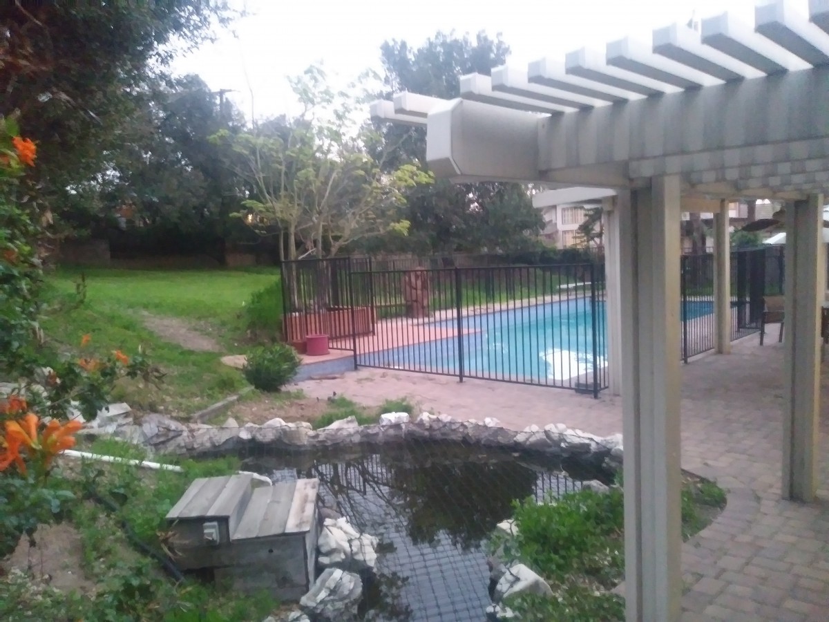 A serene backyard featuring a swimming pool, fenced area, and a small pond surrounded by greenery.