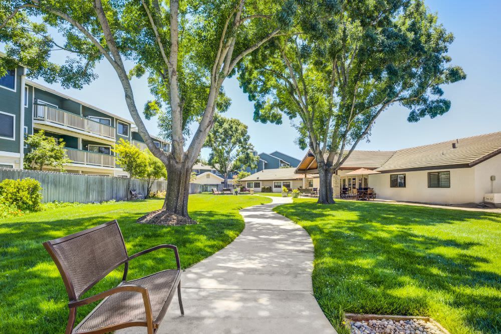 A sunny outdoor scene with a winding pathway, surrounded by lush grass and large trees, leading to nearby buildings.