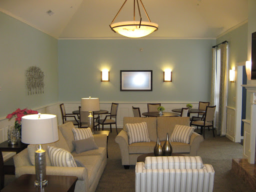 A cozy living room featuring contemporary furniture and a calm color palette.