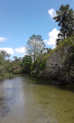 A serene view of a river surrounded by lush greenery and a clear blue sky.