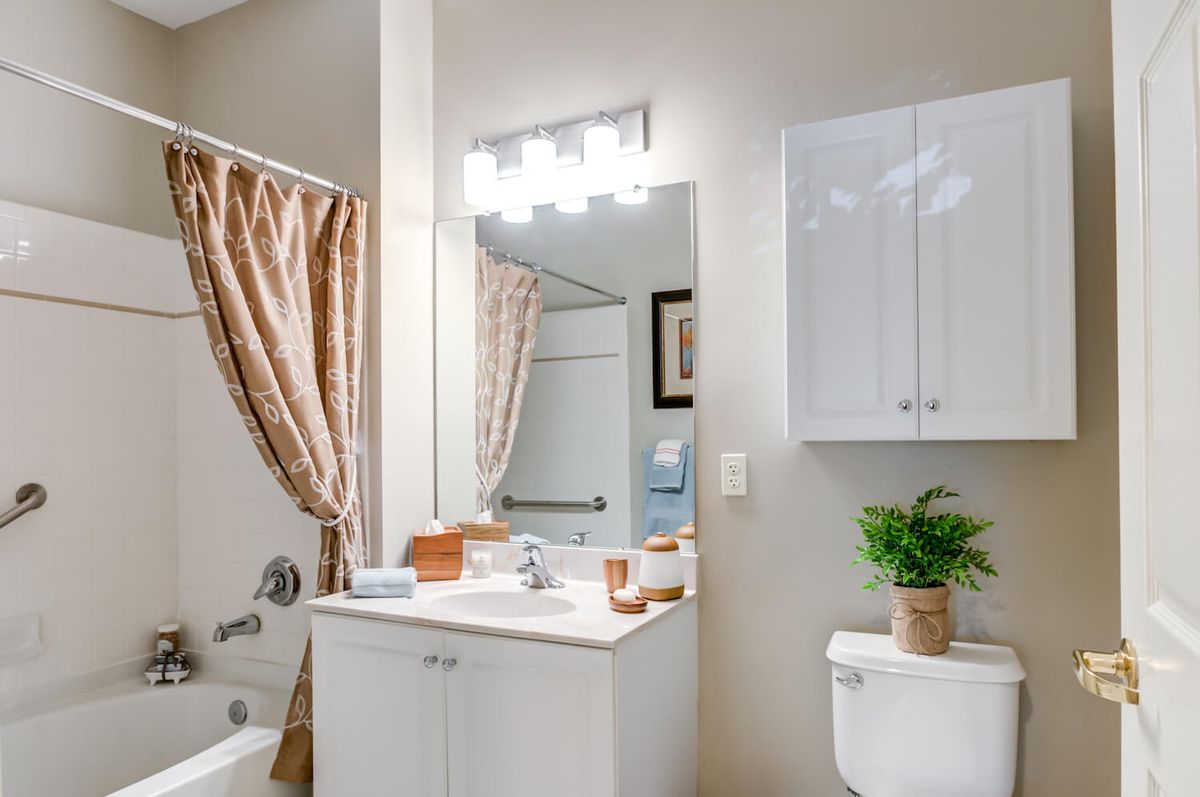 A well-lit bathroom with a mirror and vanity, featuring decorative elements like a small plant.
