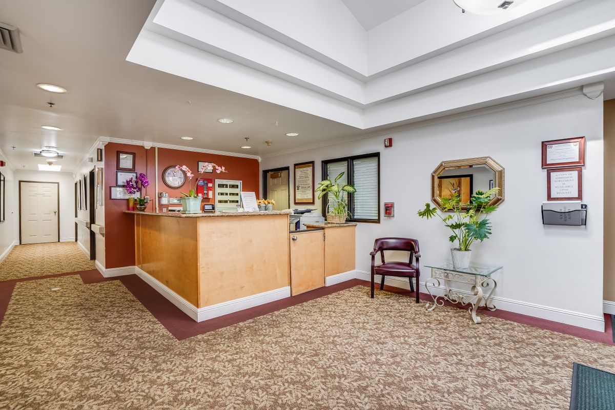 A welcoming reception area with a desk, seating, and decorative plants.