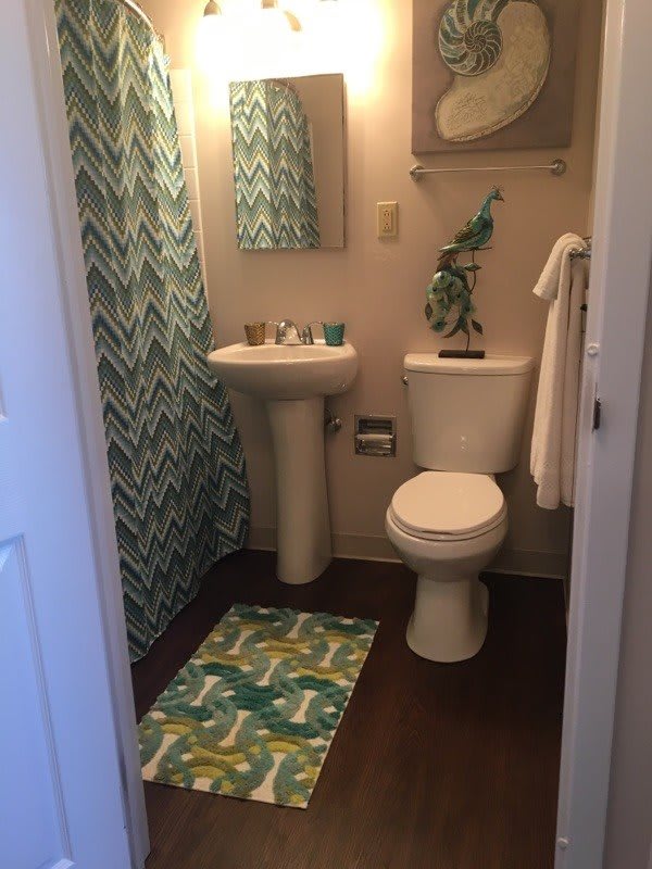 A small bathroom with a patterned shower curtain and matching rug.