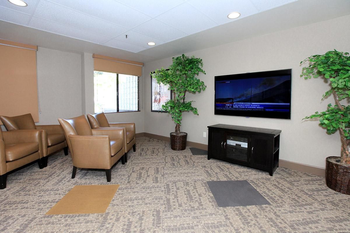 A modern living room with comfortable seating and a large TV.