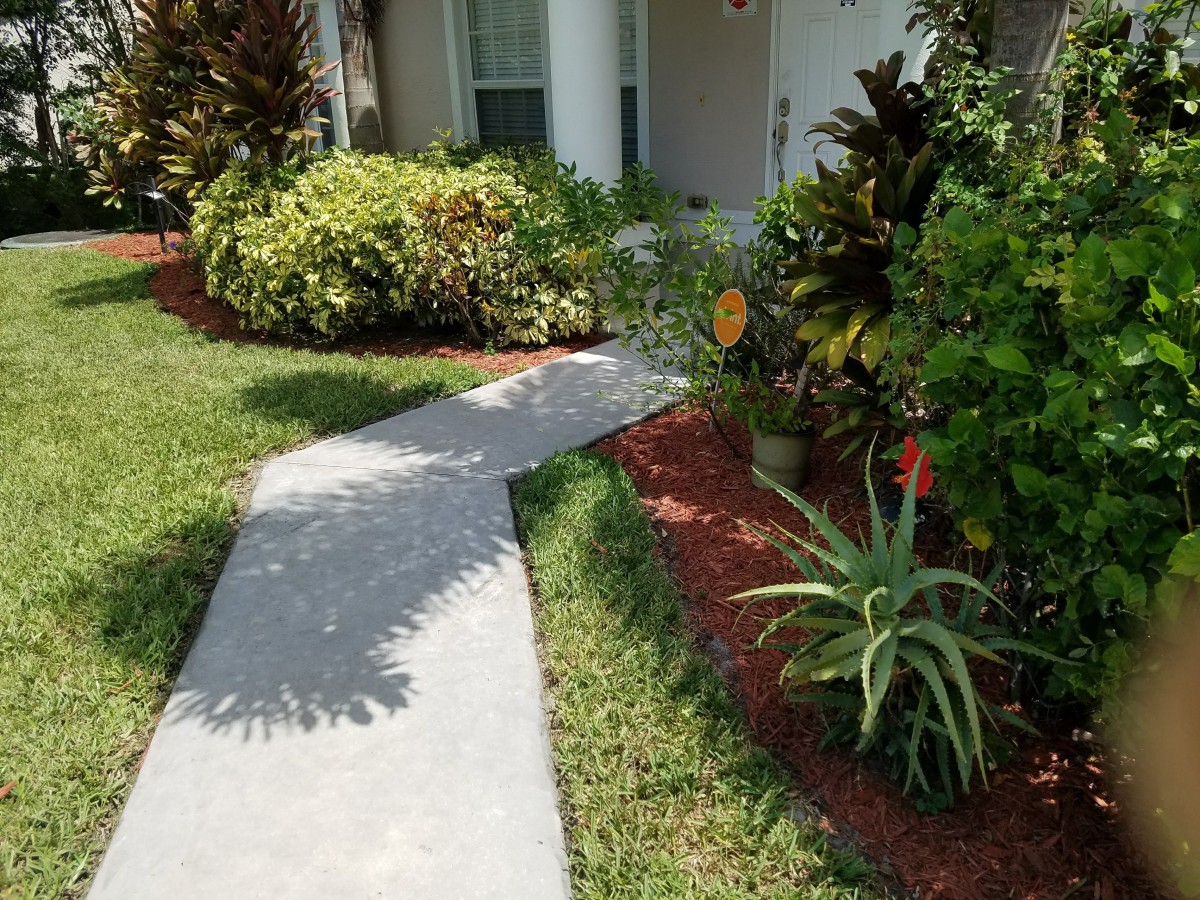 Alcime Professional Care,  LLC