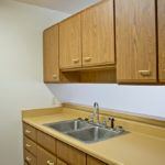 A kitchen with wooden cabinets and a double sink.