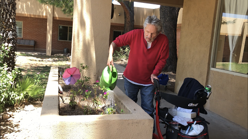 A senior individual tending to a garden by watering the plants.