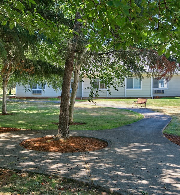 A peaceful park scene with a winding pathway, benches, and trees providing shade.