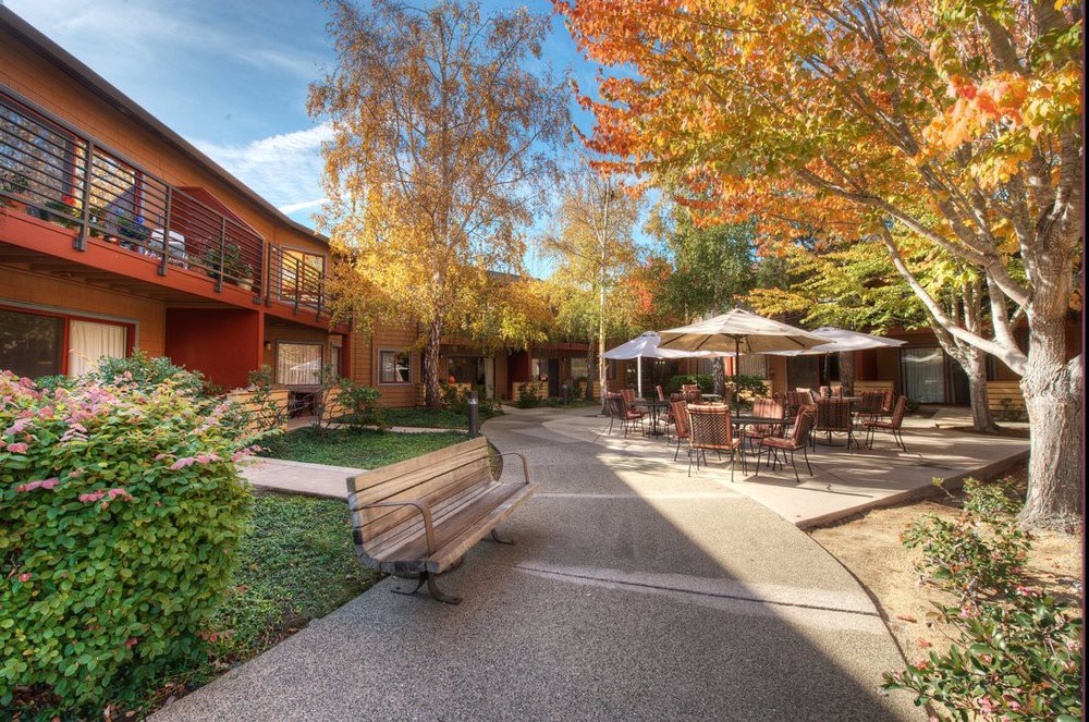 A tranquil courtyard with trees in autumn colors, featuring outdoor seating and a pathway lined with benches.