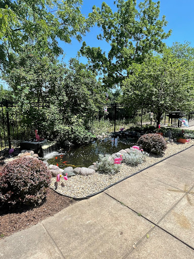 A serene garden with a pond surrounded by vibrant flowers and lush greenery.