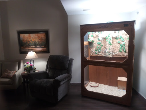 A cozy living room featuring a comfortable armchair and a decorative reptile enclosure.