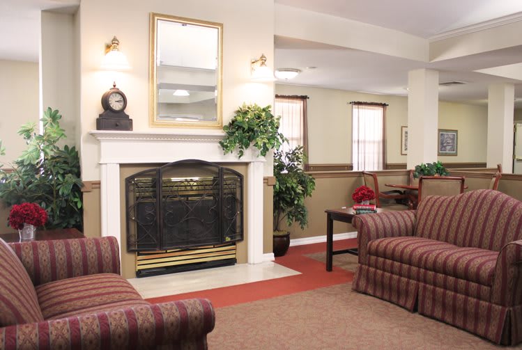 A cozy living room with a fireplace, comfortable seating, and decorative plants.