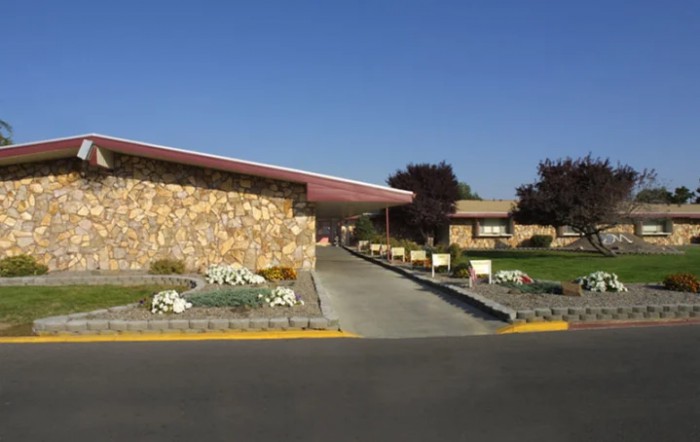 Meadow View Nursing